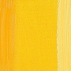 Daler Rowney Georgian Yağlı Boya 38ml 618-Cadmium Yellow Deep Hue