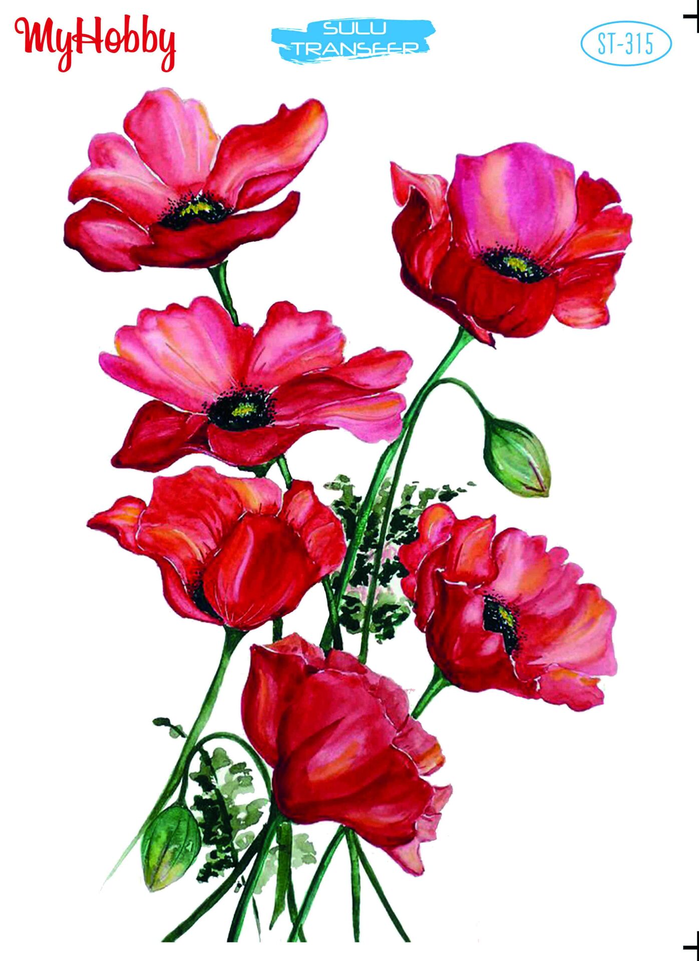 My Hobby Sulu Transfer 25*35 cm STB-315