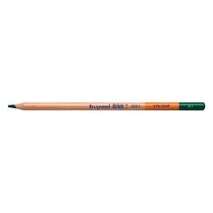 Bruynzeel Design Colour Kuru Boya Kalemi 61-Dark Green