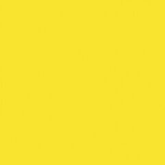 PEBEO PORCELAİNE 150 FIRINLANABİLİR PORSELEN BOYASI 48 DAFFODİL