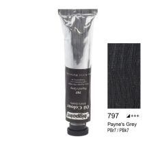 Bigpoint Yağlı Boya 45 ml. 797 - Paynes Grey