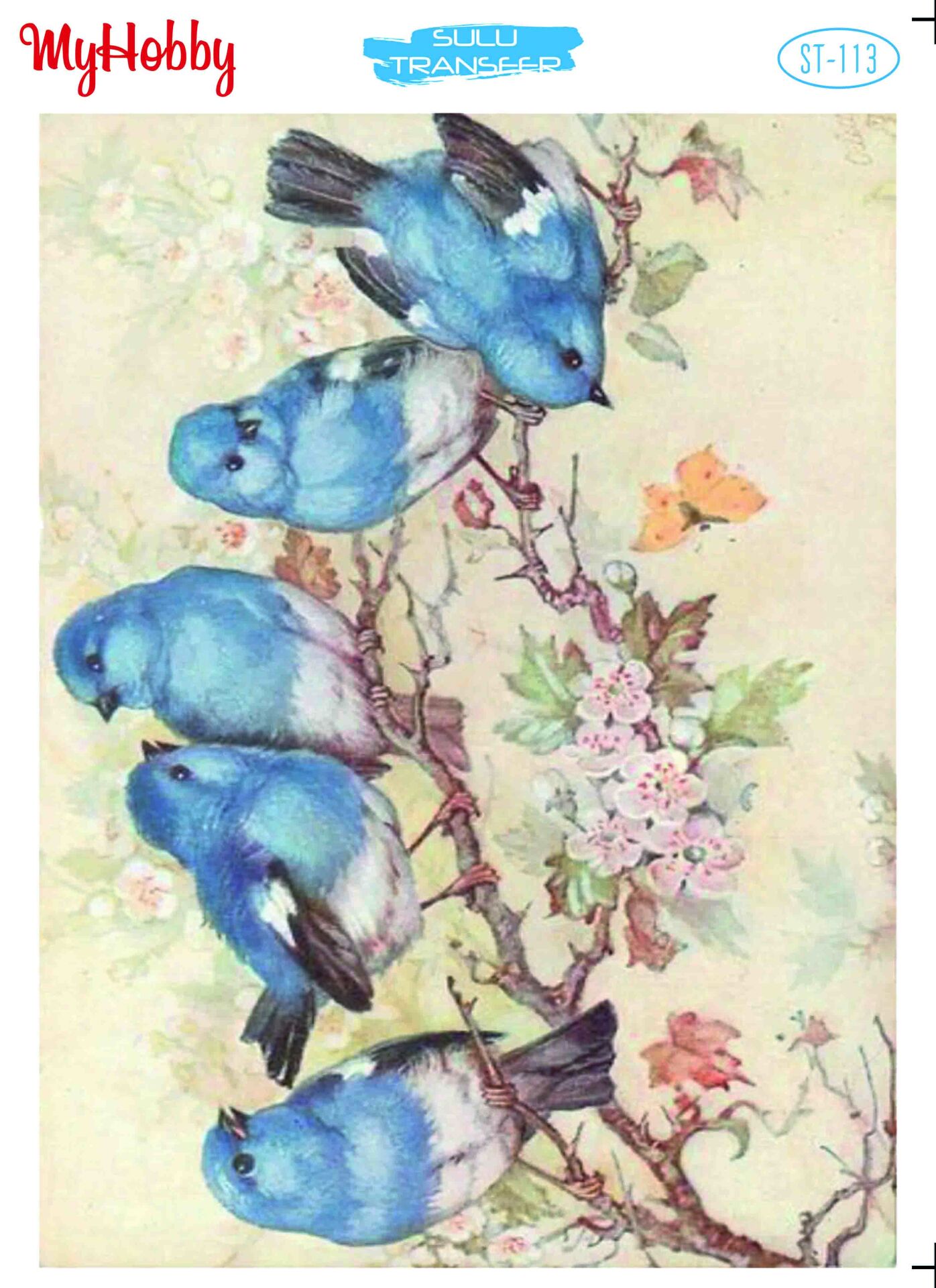 My Hobby Sulu Transfer 25*35 cm STB-113