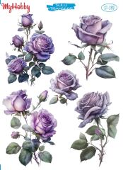 My Hobby Sulu Transfer 25*35 cm STB-399