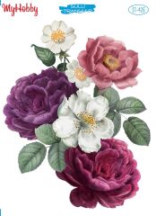 My Hobby Sulu Transfer 25*35 cm STB-426