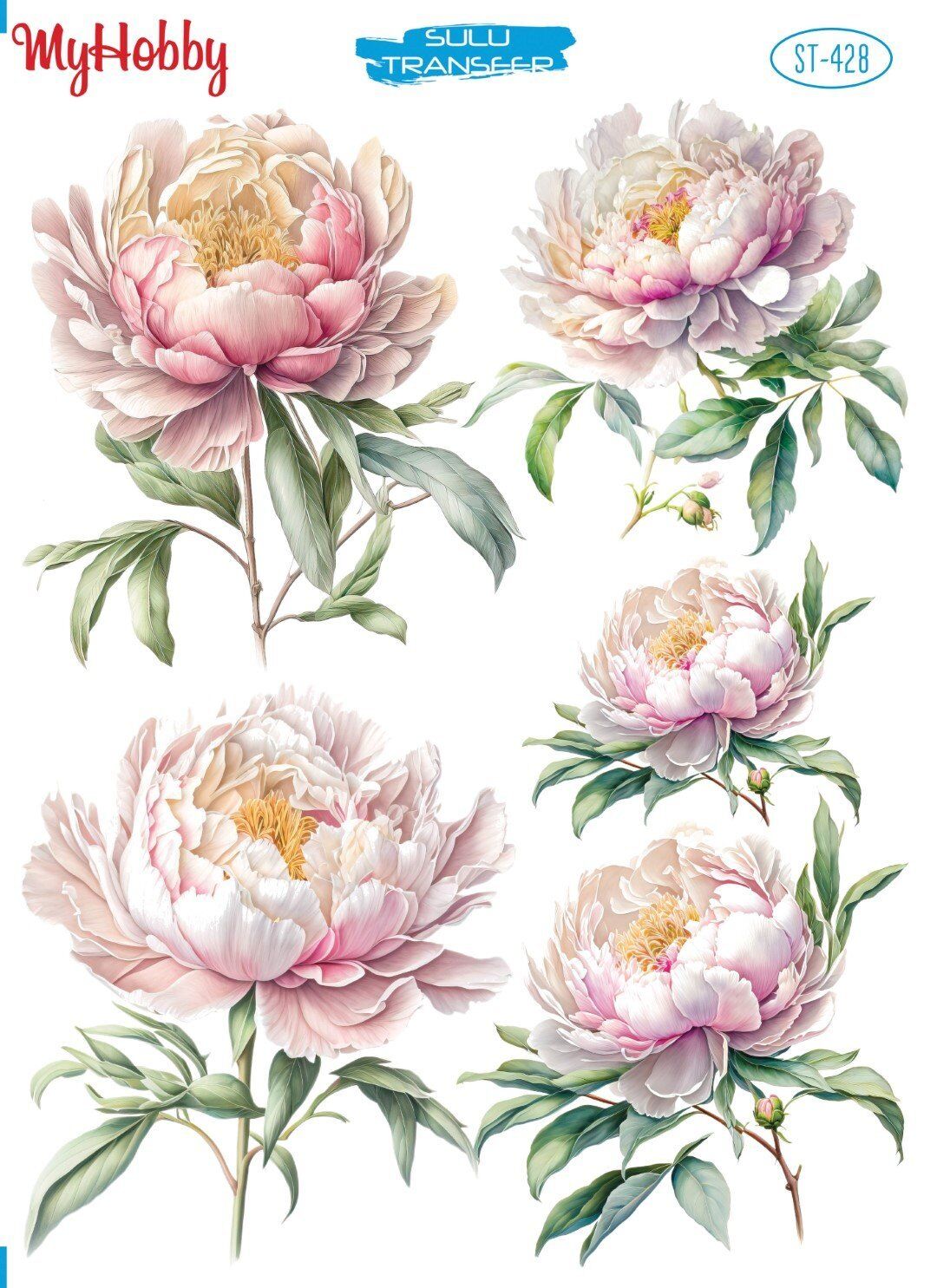 My Hobby Sulu Transfer 25*35 cm STB-428