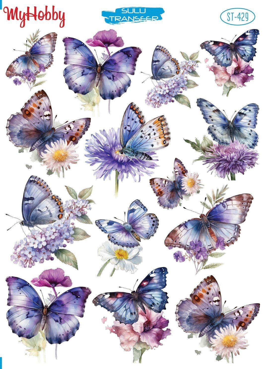 My Hobby Sulu Transfer 25*35 cm STB-429