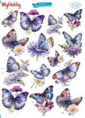 My Hobby Sulu Transfer 25*35 cm STB-429