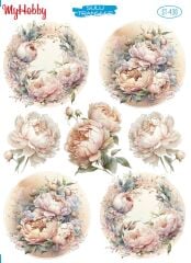 My Hobby Sulu Transfer 25*35 cm STB-430