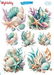 My Hobby Sulu Transfer 25*35 cm STB-432