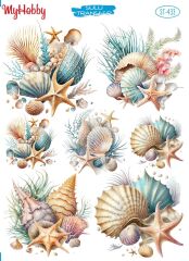 My Hobby Sulu Transfer 25*35 cm STB-433