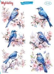 My Hobby Sulu Transfer 25*35 cm STB-435