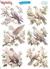 My Hobby Sulu Transfer 25*35 cm STB-436