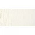 Pebeo Huile Fine XL 37ml. Yağlı Boya 25 Titanium White