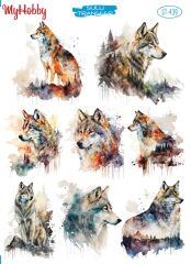 My Hobby Sulu Transfer 25*35 cm STB-439