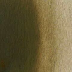 Van Gogh Tablet Suluboya Raw Umber 408