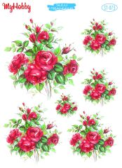 My Hobby Sulu Transfer 25*35 cm STB-73