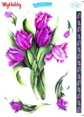 My Hobby Sulu Transfer 25*35 cm STB-88