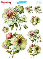 My Hobby Sulu Transfer 25*35 cm STB-127