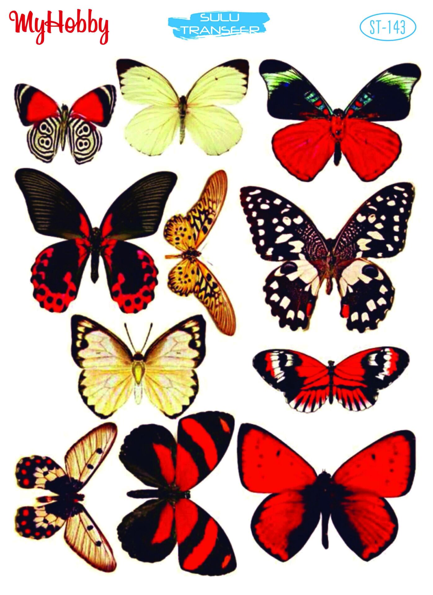 My Hobby Sulu Transfer 25*35 cm STB-143