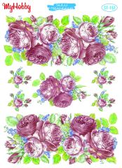 My Hobby Sulu Transfer 25*35 cm STB-161