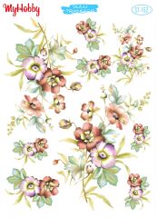 My Hobby Sulu Transfer 25*35 cm STB-162