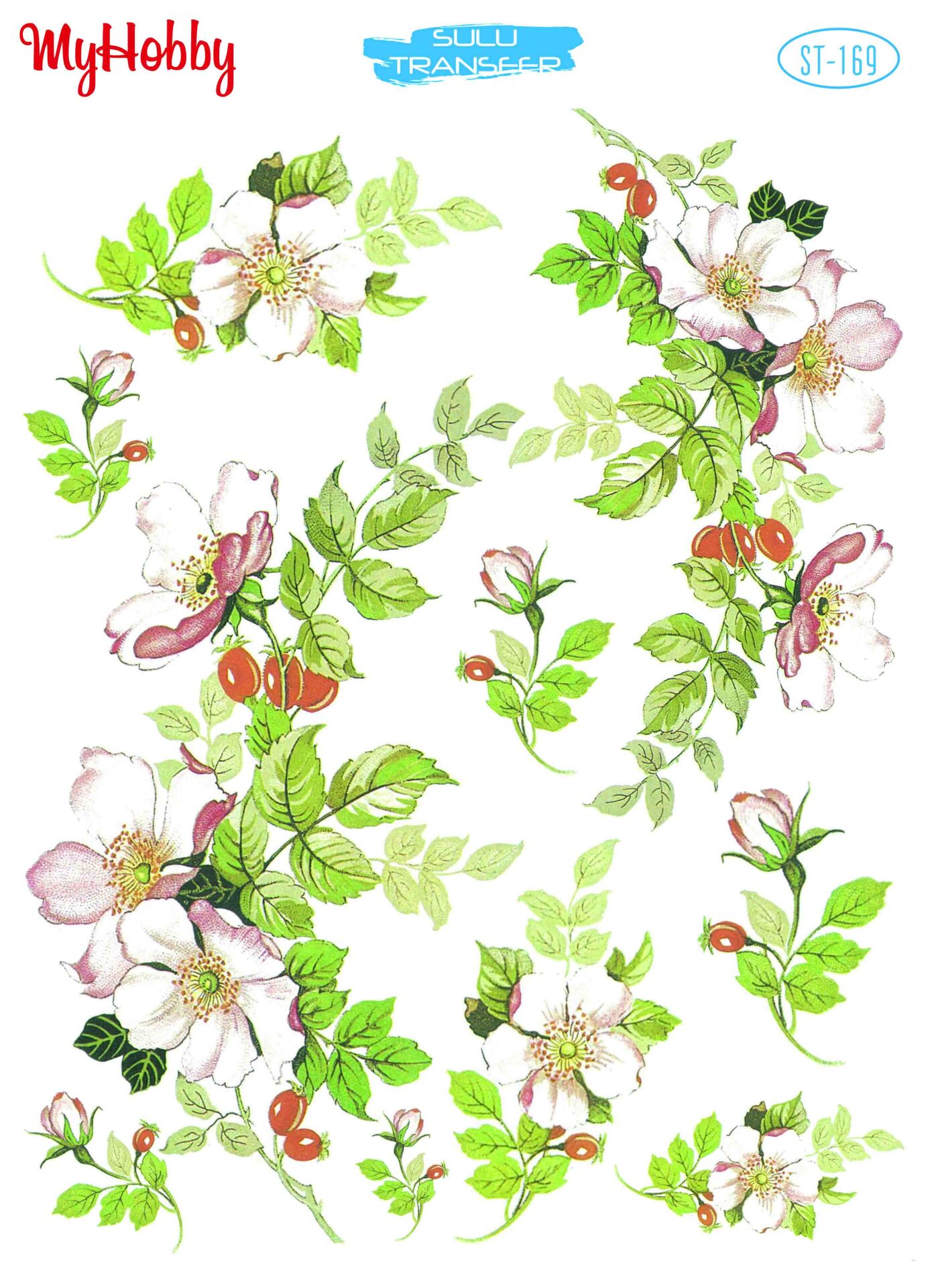 My Hobby Sulu Transfer 25*35 cm STB-169