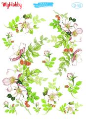 My Hobby Sulu Transfer 25*35 cm STB-169