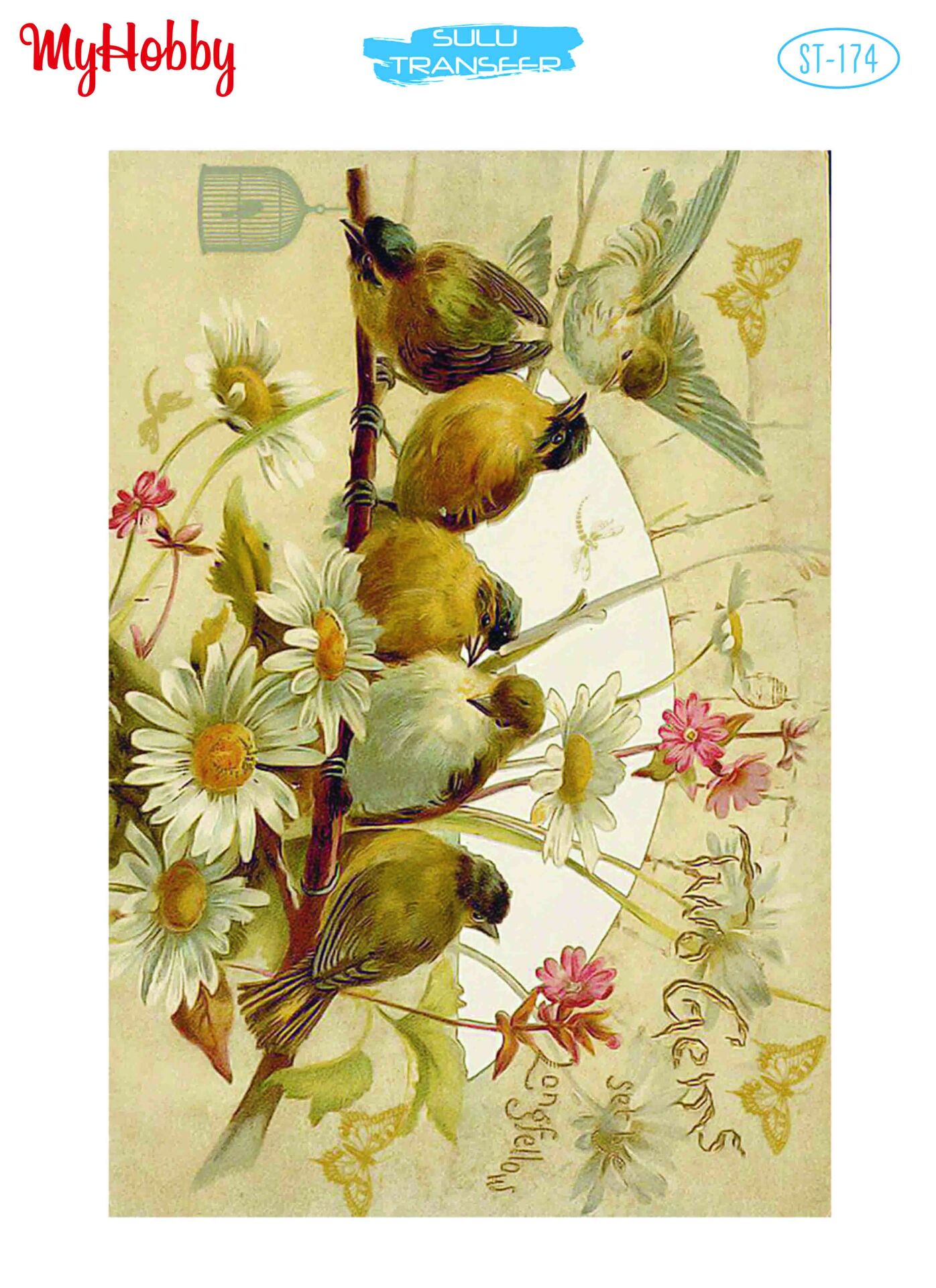 My Hobby Sulu Transfer 25*35 cm STB-174