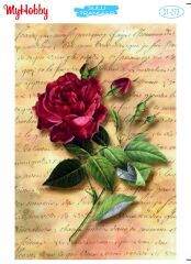 My Hobby Sulu Transfer 25*35 cm STB-273