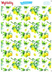 My Hobby Sulu Transfer 25*35 cm STB-275