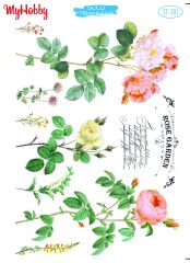 My Hobby Sulu Transfer 25*35 cm STB-301