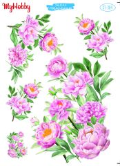 My Hobby Sulu Transfer 25*35 cm STB-304