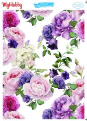 My Hobby Sulu Transfer 25*35 cm STB-312