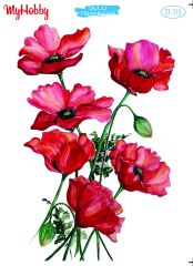 My Hobby Sulu Transfer 25*35 cm STB-315