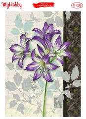 My Hobby Tela Transfer 25*35 cm TTK-46