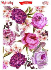 My Hobby Tela Transfer 25*35 cm TTK-85