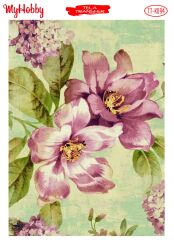 My Hobby Tela Transfer 25*35 cm TTK-94