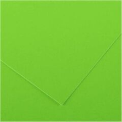 Alex Schoeller Fon Kartonu 160gr 50x70 cm Açık Yeşil