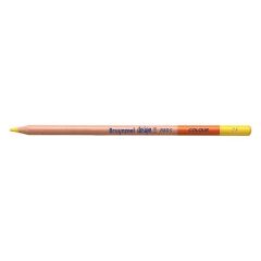 Bruynzeel Design Colour Kuru Boya Kalemi 25-Lemon Yellow