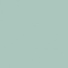 PEBEO PORCELAİNE 150 FIRINLANABİLİR PORSELEN BOYASI 123 POWDER GREEN