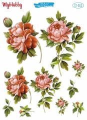 My Hobby Sulu Transfer 25*35 cm STB-65