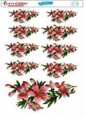 My Hobby Sulu Transfer 25*35 cm STB-78