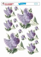 My Hobby Sulu Transfer 25*35 cm STB-79