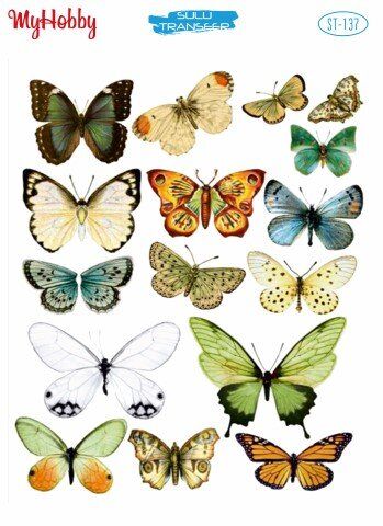 My Hobby Sulu Transfer 25*35 cm STB-137
