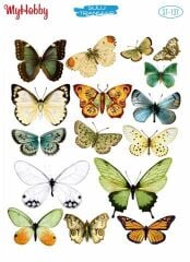 My Hobby Sulu Transfer 25*35 cm STB-137
