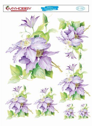 My Hobby Sulu Transfer 25*35 cm STB-192