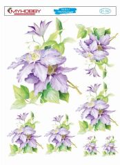 My Hobby Sulu Transfer 25*35 cm STB-192