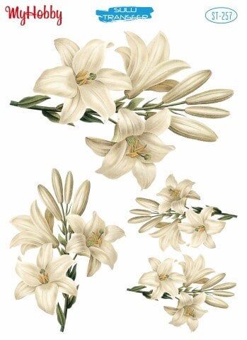 My Hobby Sulu Transfer 25*35 cm STB-257