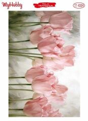My Hobby Tela Transfer 25*35 cm TTK-04