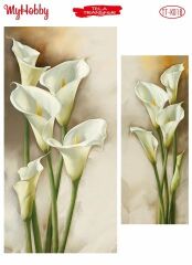 My Hobby Tela Transfer 25*35 cm TTK-18